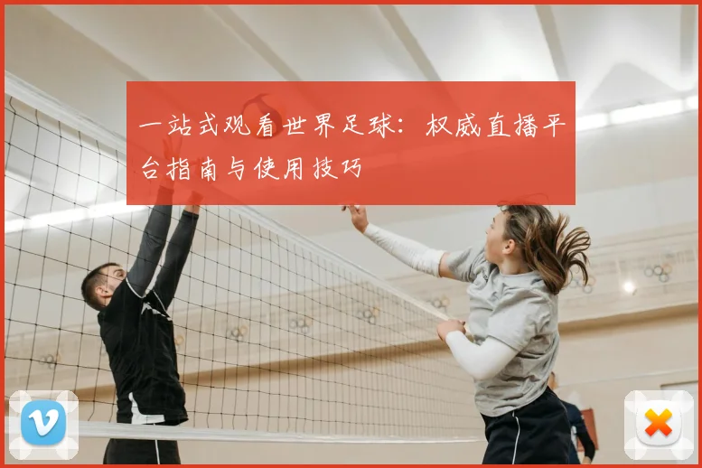 一站式观看世界足球:权威直播平台指南与使用技巧