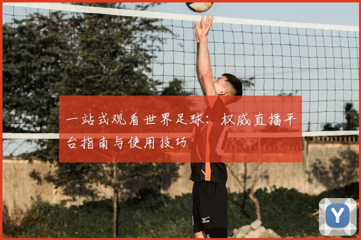 一站式观看世界足球：权威直播平台指南与使用技巧